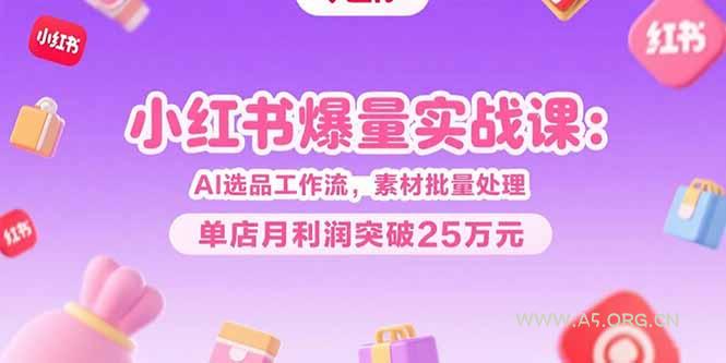小红书爆量实战课:AI选品工作流,素材批量处理,单店月利润突破25万元-A5资源网