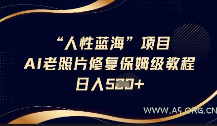 人性蓝海AI老照片修复项目保姆级教程,长期复购,轻松日入5张-A5资源网