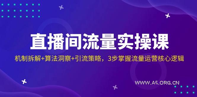 直播间流量实操课:机制拆解+算法洞察+引流策略,3步掌握流量运营核心逻辑-A5资源网