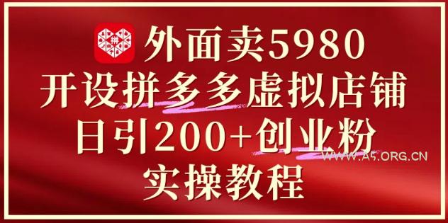 外面卖5980开设拼多多虚拟店铺:单日引流200+创业付费粉实战教程-A5资源网