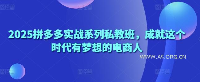 2025拼多多实战系列私教班,成就这个时代有梦想的电商人-A5资源网