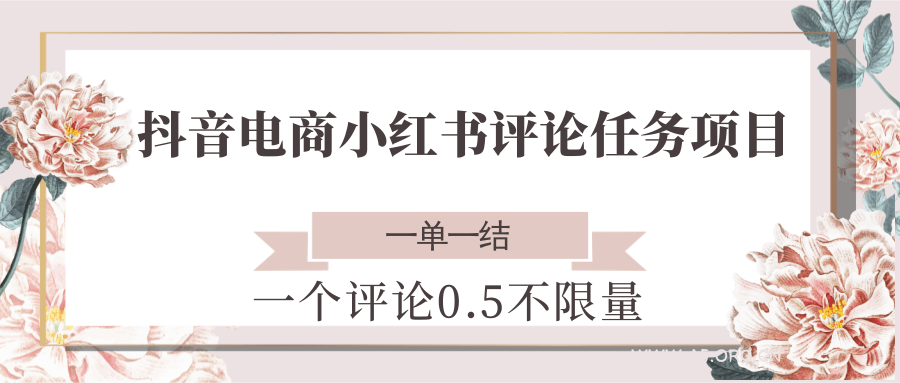 抖音电商小红书评论任务项目,一个评论0.5,一单一结 不限量-A5资源网