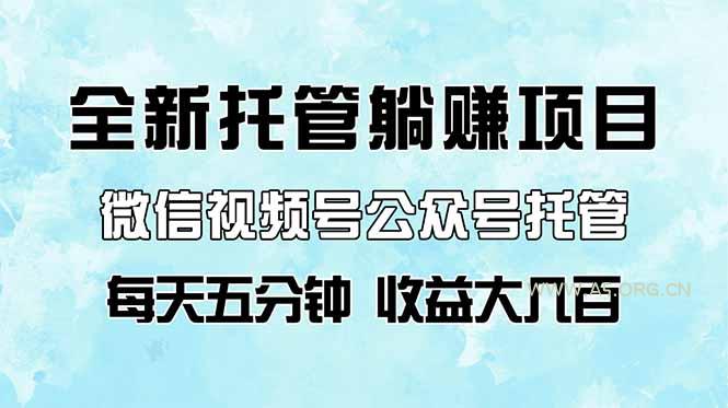全新托管躺赚项目,微信视频号公众号托管代运营,每天五分钟,收益大几百-A5资源网