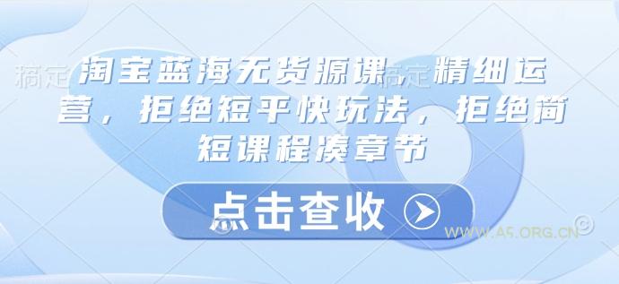 淘宝蓝海无货源课,精细运营,拒绝短平快玩法,拒绝简短课程凑章节-A5资源网