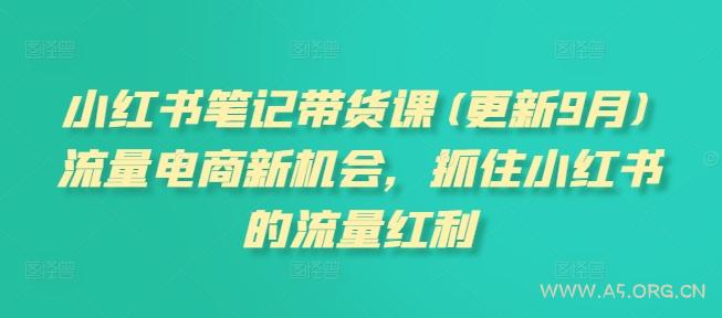 小红书笔记带货课(更新25年4月)流量电商新机会,抓住小红书的流量红利-A5资源网