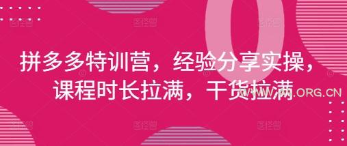 拼多多特训营,经验分享实操,课程时长拉满,干货拉满(更新25年4月)-A5资源网