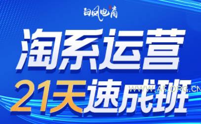 白凤电商·淘系运营21天速成班(更新5月)-A5资源网