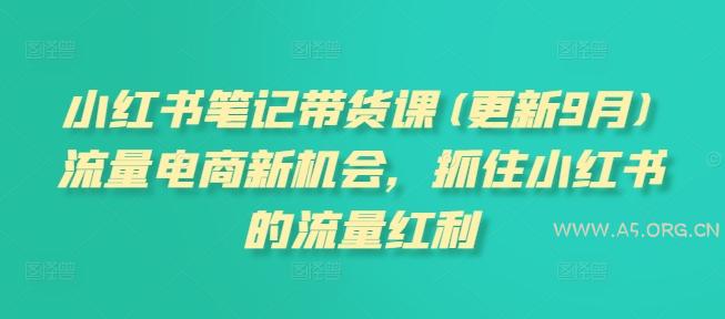 小红书笔记带货课(更新25年3月)流量电商新机会,抓住小红书的流量红利-A5资源网