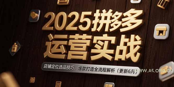 2025拼多多运营实战:店铺定位选品技巧,爆款打造全流程解析(更新6月-A5资源网