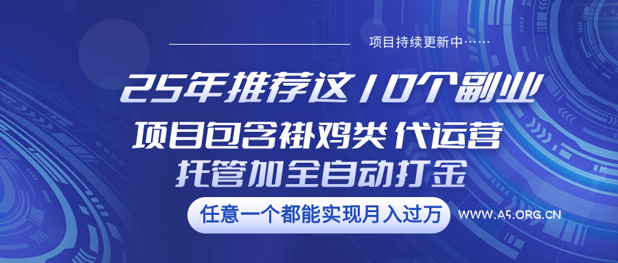 25年推荐这10个副业 项目包含褂鸡类、代运营托管类、全自动打金类-A5资源网