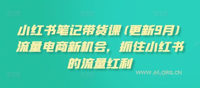 小红书笔记带货课(更新25年5月)流量电商新机会,抓住小红书的流量红利-A5资源网