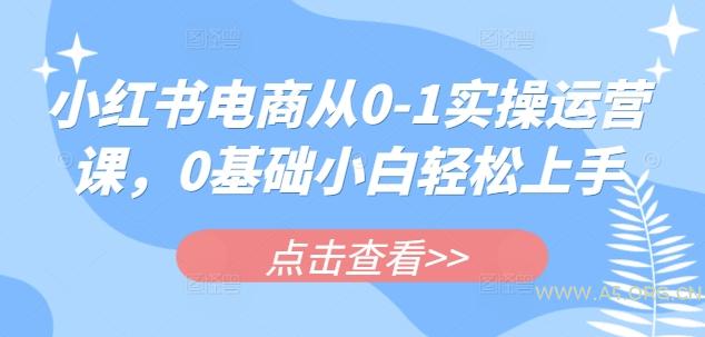 小红书电商从0-1实操运营课,0基础小白轻松上手-A5资源网