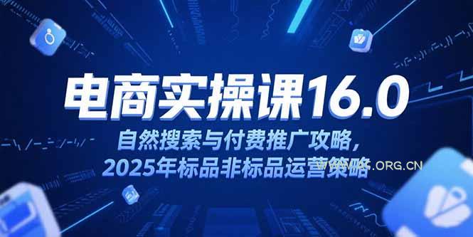 淘宝电商运营课16.0,自然搜索与付费推广攻略,2025年标品非标品运营策略-A5资源网