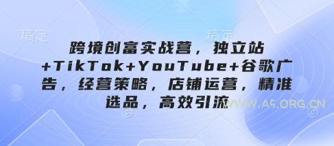 跨境创富实战营,独立站+TikTok+YouTube+谷歌广告,经营策略,店铺运营,精准选品,高效引流-A5资源网