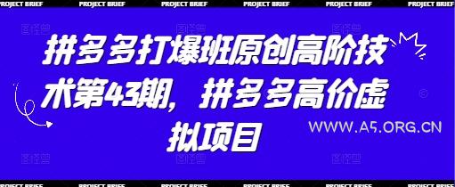 拼多多打爆班原创高阶技术第43期,拼多多高价虚拟项目-A5资源网