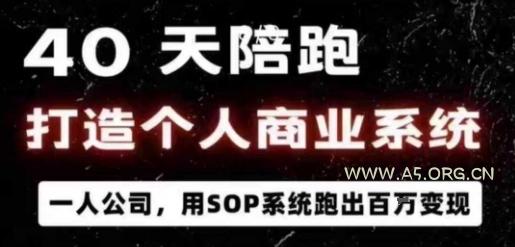 40天陪跑打造个人商业系统,一人公司,用SOP系统跑出百W变现-A5资源网