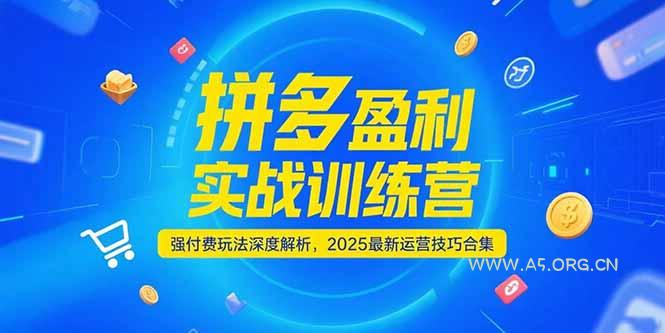 拼多多盈利实战训练营,强付费玩法深度解析,2025运营技巧合集-更新6月-A5资源网