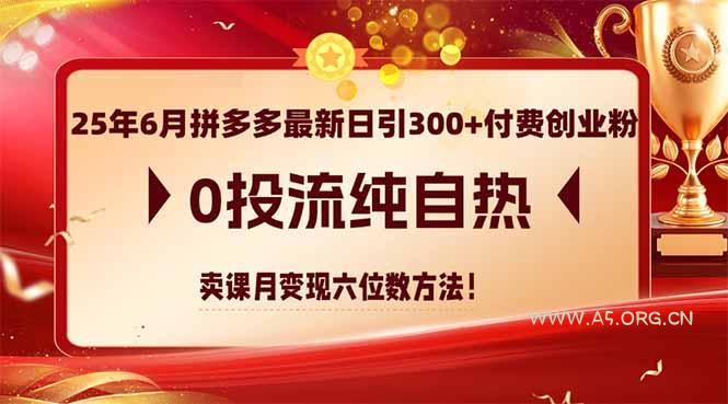 25年6月拼多多最新日引300+付费创业粉,0投流纯自热 卖课月变现六位数方法-A5资源网