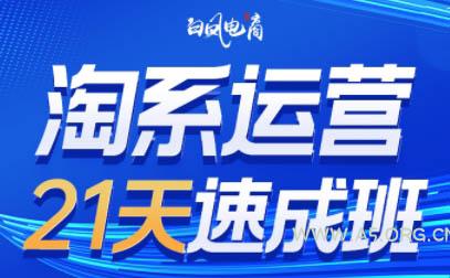 白凤电商·淘系运营21天速成班(更新7月)-A5资源网