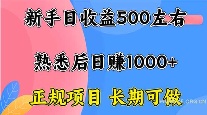 新手日收益500+ 正规项目 长期可做-A5资源网