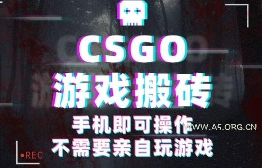 CSGO游戏挂G捡漏，单日扫货5张+，年底小高峰上车可吃肉，手机即可操作，兼职副业创业网创【揭秘】-A5资源网