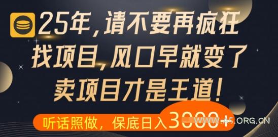 什么？25年你还在疯狂找项目做，醒醒吧，看完这些你全都懂了【揭秘】-A5资源网