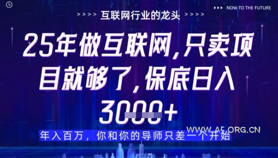 什么!25年你还在找项目做?风口早就变了,卖项目才是稳挣不赔【揭秘】-A5资源网