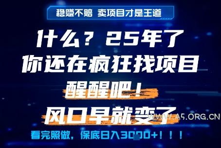 什么?25年你还在疯狂找项目做,醒醒吧,看完这些你全都懂了!【揭秘】-A5资源网