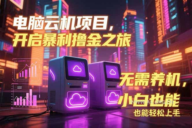 电脑云机项目 暴力撸金玩法,不需要养机 配置没有要求 单机100个窗口一…-A5资源网