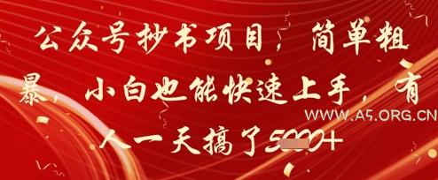 公众号抄书项目,简单粗暴,小白也能快速上手,有人一天搞了1k+-A5资源网