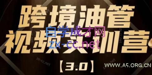 阿蔺Leo·跨境油管视频YouTube实训营(更新2025)-A5资源网
