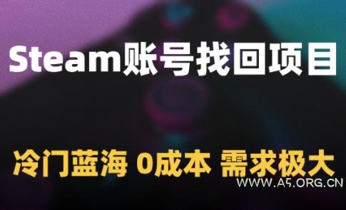Steam账号找回项目,冷门蓝海,0成本,需求极大-A5资源网