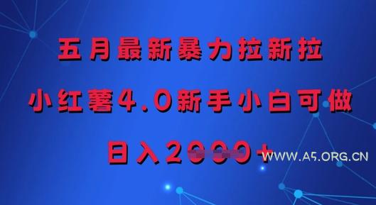 五月最新暴力拉新拉,小红薯4.0新手小白可做,日入多张-A5资源网