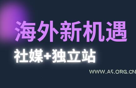 棕榈·2025出海新机遇(社媒+独立站)-A5资源网