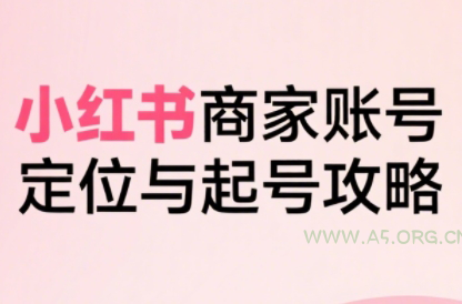 大晴老师·小红书电商全链路实战从定位到爆单(更新9月)-A5资源网