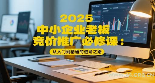 2025中小企业老板竞价推广必修课:从入门到精通的进阶之路-A5资源网