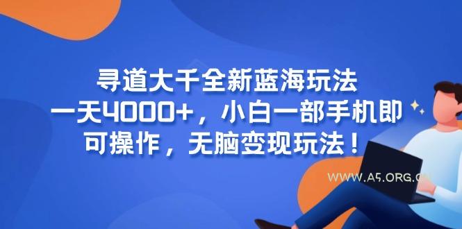 寻道大千全新蓝海玩法,一天4000+,小白一部手机即可操作,无脑变现玩法!-A5资源网