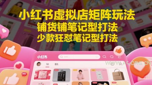 小红书虚拟店矩阵玩法,铺货铺笔记型打法,少款狂怼笔记型打法-A5资源网