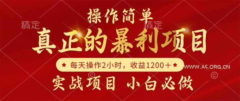 真正的暴利项目,操作简单,每天收益1200+,自己做老板-A5资源网