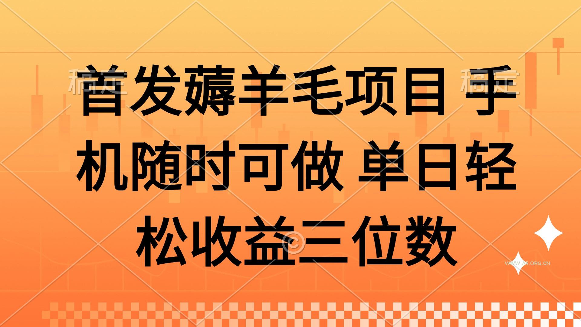 薅羊毛项目 手机随时可做 单日轻松收益三位数-A5资源网