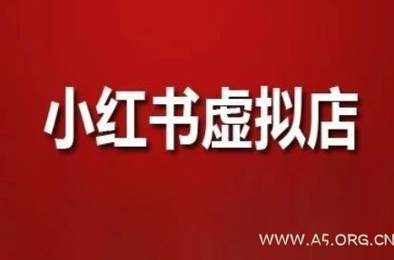 狂峰会·小红书虚拟店矩阵玩法-A5资源网