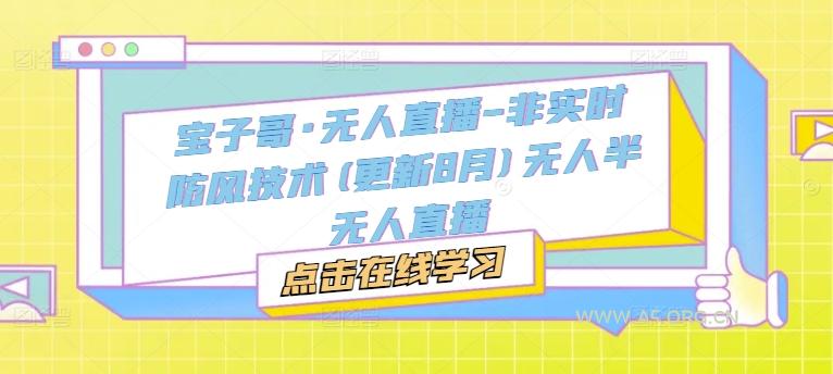 宝子哥·无人直播-非实时防风技术(更新25年7月)无人半无人直播-A5资源网