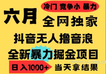 25年6月高爆抖音无人直播最新撸音浪掘金项目,小白可做,无脑日入1k+,门槛低可批量矩阵【揭秘】-A5资源网