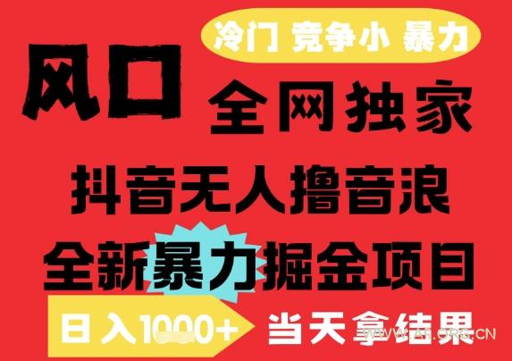 25年6月高爆抖音无人直播最新撸音浪掘金项目,解放双手小白可做,无脑日入1k+,门槛低【揭秘】-A5资源网
