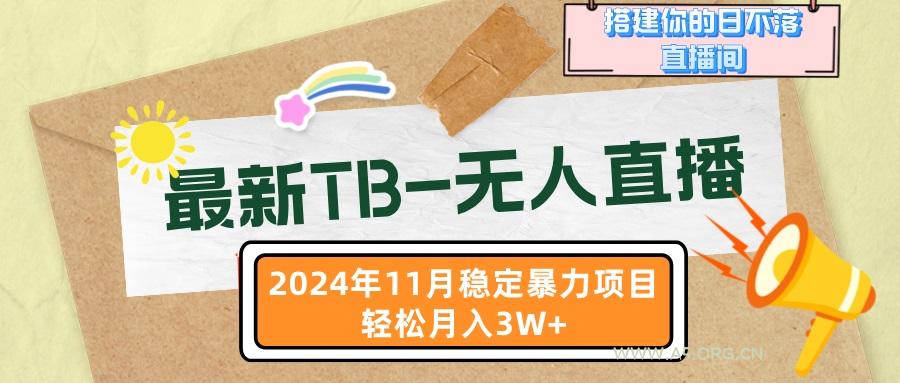 最新TB-无人直播 11月最新,打造你的日不落直播间,轻松月入3W+-A5资源网