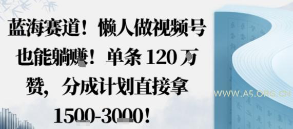 蓝海赛道,懒人做视频号也能躺挣,单条120W赞,分成计划直接拿1.5k,不用拍不用剪-A5资源网