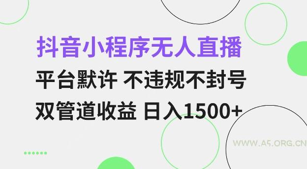 抖音小程序无人直播 平台默许 不违规不封号 双管道收益 日入多张 小白也能轻松操作【仅揭秘】-A5资源网