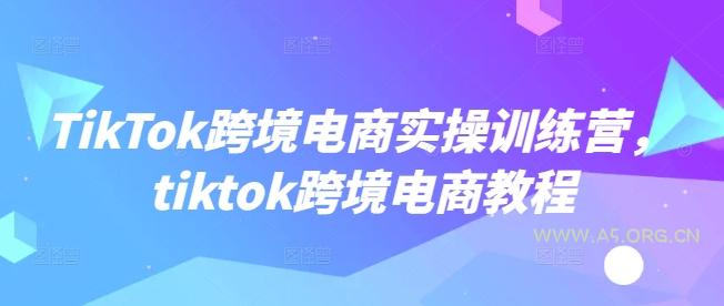 TikTok跨境电商实操训练营,tiktok跨境电商教程-A5资源网
