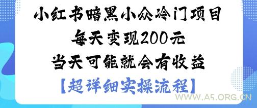小红书暗黑小众冷门项目每天变现2张当天可能就会有收益-A5资源网