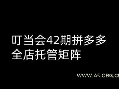 叮当会拼多多打爆班原创高阶技术第42期,拼多多全店托管矩阵-A5资源网